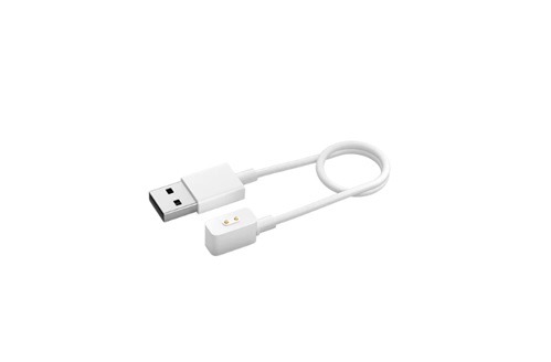 Charging Cable for Wearables 2 984GL